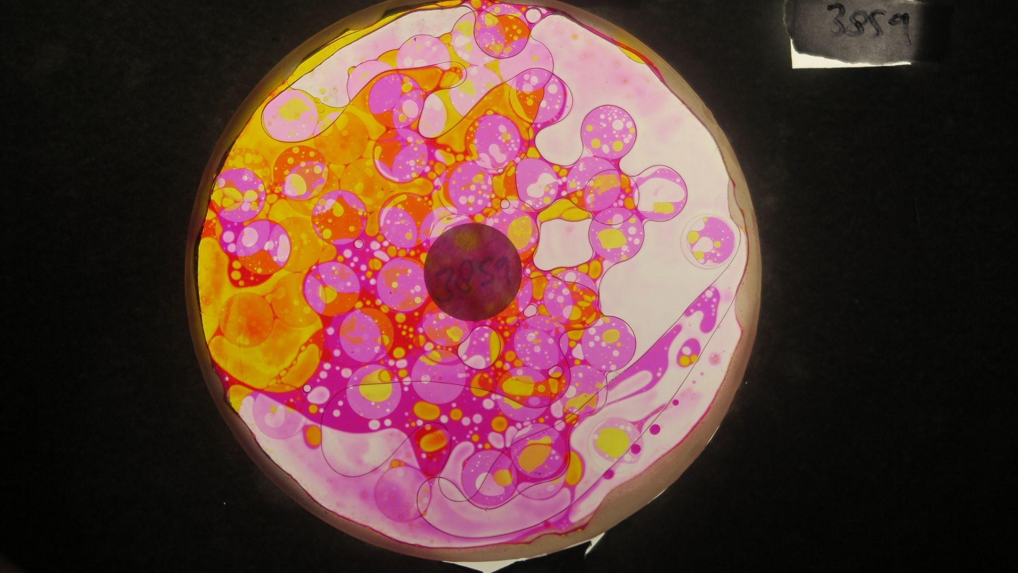 BV3859 bubble vision oil wheel